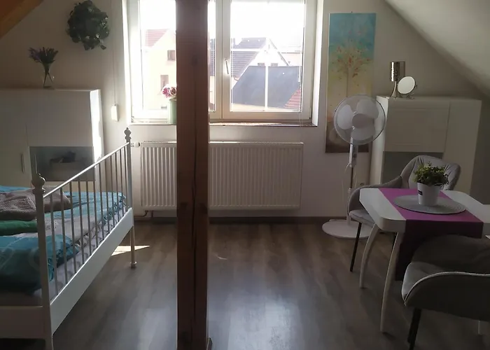 Upa - U Papeze 公寓