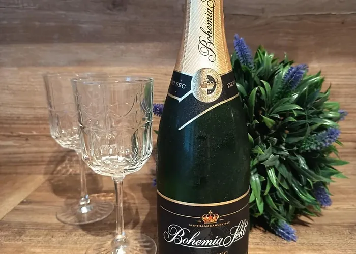 Upa - U Papeze 多布日什